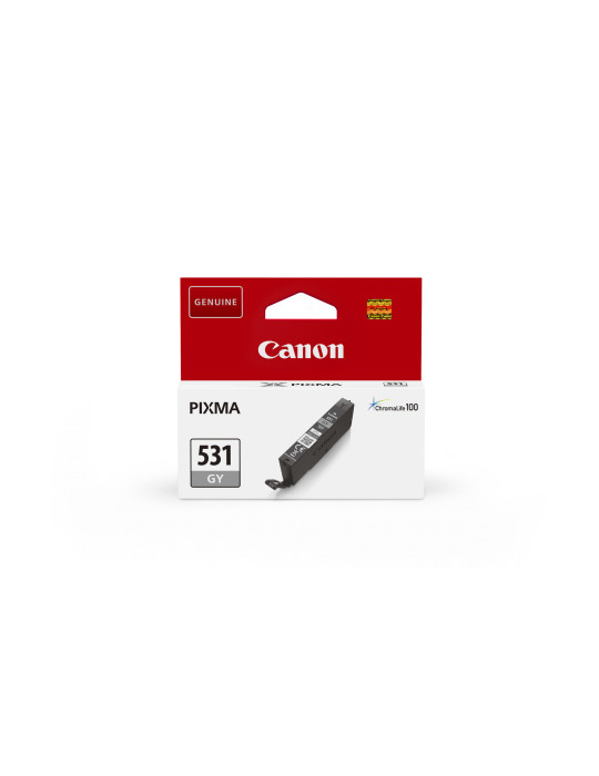 Canon 6122C001 mustekasetti 1 kpl Alkuperäinen Harmaa