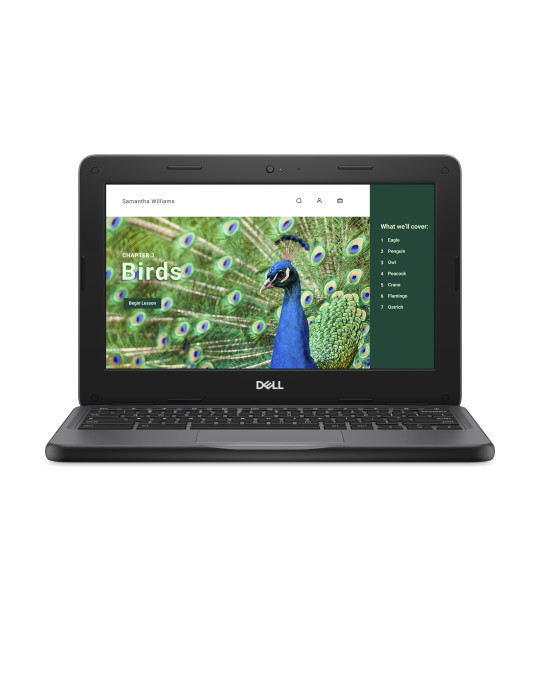 DELL Chromebook 3120 Intel® N N100 11.6" Touchscreen HD 4 GB LPDDR5-SDRAM 64 GB eMMC Wi-Fi 6 (802.11ax) ChromeOS Nordic Black