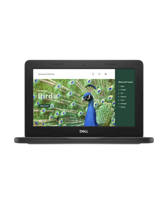 DELL Chromebook 3120 Intel® N N100 11.6" HD 4 GB LPDDR5-SDRAM 64 GB eMMC Wi-Fi 6 (802.11ax) ChromeOS Nordic Black