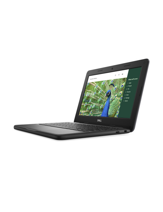 DELL Chromebook 3120 Intel® N N100 11.6" HD 4 GB LPDDR5-SDRAM 64 GB eMMC Wi-Fi 6 (802.11ax) ChromeOS Nordic Black