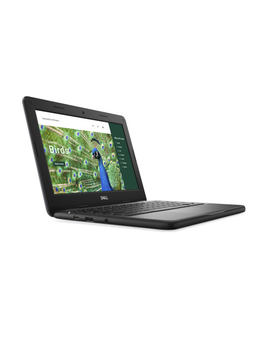 DELL Chromebook 3120 Intel® N N100 11.6" HD 4 GB LPDDR5-SDRAM 64 GB eMMC Wi-Fi 6 (802.11ax) ChromeOS Nordic Black