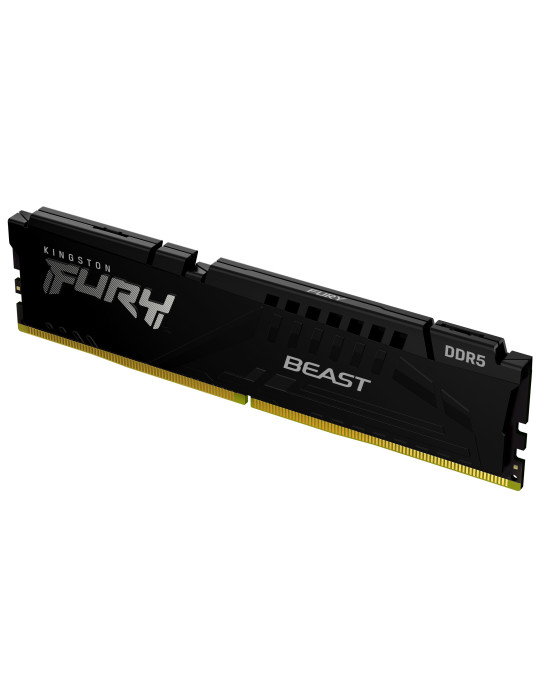 Kingston Technology FURY Beast memory module 32 GB 1 x 32 GB DDR5 5600 MT s