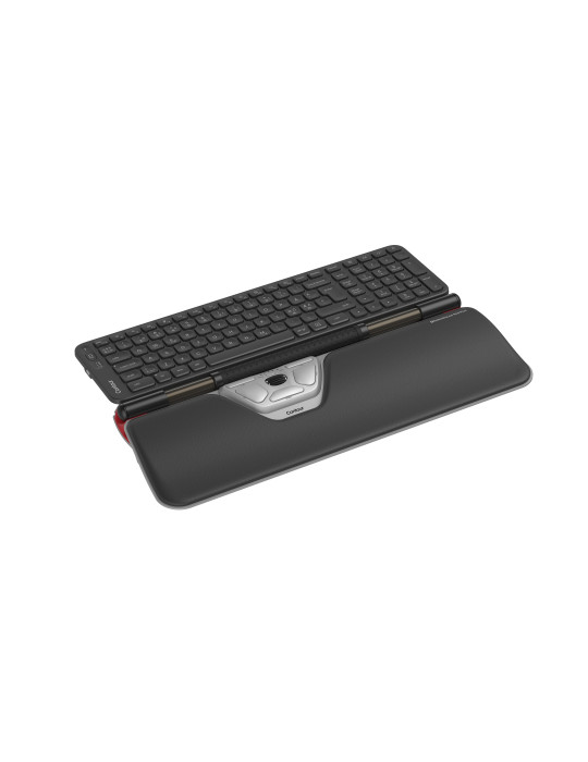 Contour Design RollerMouse Red Plus & Balance keyboard Mouse included Office RF Wireless + Bluetooth QWERTY Nordic Black