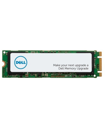 DELL AA615520 SSD-massamuisti 1 TB M.2 PCI Express NVMe