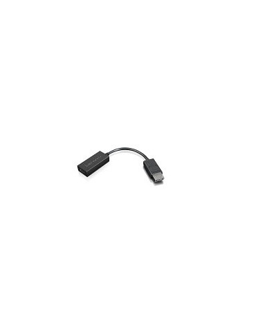 Lenovo 4X90R61023 video cable adapter 8.86" (0.225 m) DisplayPort HDMI Type A (Standard) Black