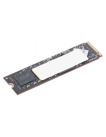 LENOVO TP 1TB PERFORMANCE...