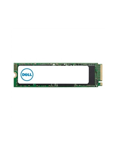 DELL AB292884 SSD-hårddisk 1 TB M.2 PCI Express NVMe