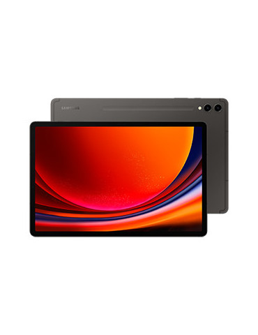 Samsung Galaxy Tab S9+ SM-X810N Snapdragon 256 GB 31,5 cm (12.4") 12 GB Wi-Fi 6 (802.11ax) Android 13 Grafiitti