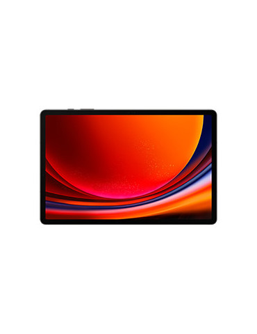 Samsung Galaxy Tab S9+ SM-X810N Snapdragon 256 GB 31,5 cm (12.4") 12 GB Wi-Fi 6 (802.11ax) Android 13 Grafiitti