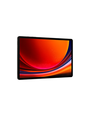 Samsung Galaxy Tab S9+ SM-X810N Snapdragon 256 GB 31,5 cm (12.4") 12 GB Wi-Fi 6 (802.11ax) Android 13 Grafiitti