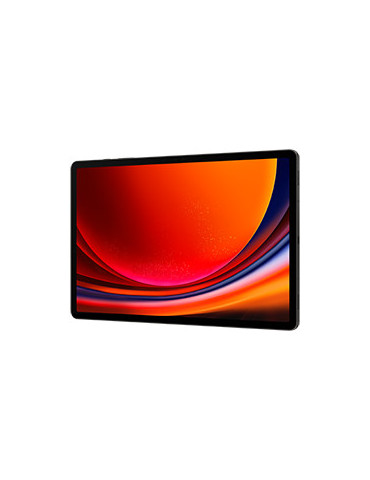 Samsung Galaxy Tab S9+ SM-X810N Snapdragon 256 GB 31,5 cm (12.4") 12 GB Wi-Fi 6 (802.11ax) Android 13 Grafiitti