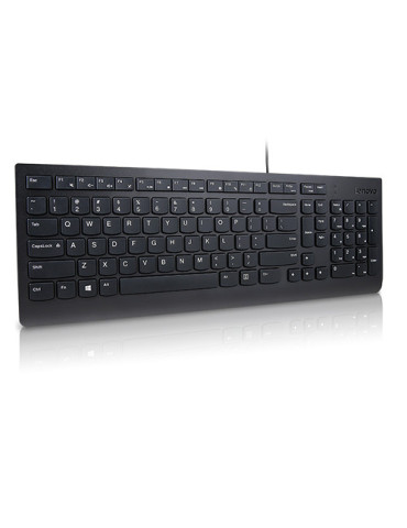 Lenovo Essential keyboard Universal USB QWERTY Finnish, Swedish Black