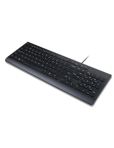 Lenovo Essential keyboard Universal USB QWERTY Finnish, Swedish Black