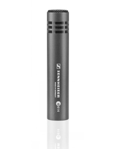 SENNHEISER E 614...