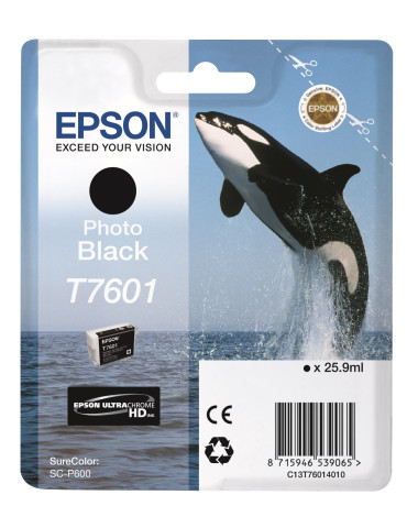 Epson T7601 valokuvamusta