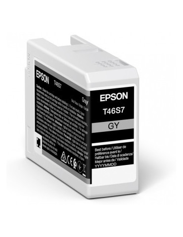 Epson Singlepack Gray T46S7 UltraChrome Pro 10 ink 25ml