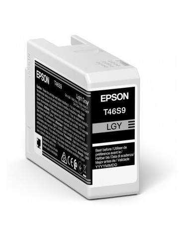 Epson Singlepack Light Gray T46S9 UltraChrome Pro 10 ink 25ml