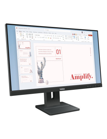 Lenovo ThinkVision E24-40 platta pc-skärmar 60,5 cm (23.8") 1920 x 1080 pixlar Full HD LCD Svart