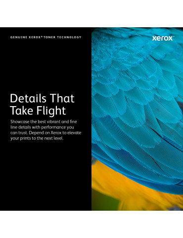 Xerox VersaLink C400 C405, musta värikasetti (ekstrasuuri kapasiteetti, 10 500 sivua)