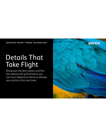 Xerox 006R04357 toner cartridge 1 pc(s) Original Cyan