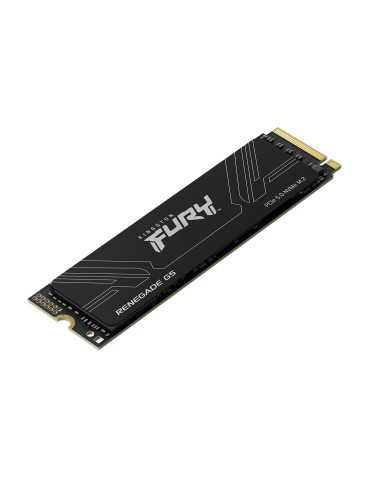Kingston Technology 2T FURY RENEGADE G5 M.2 2280 NVMe SSD