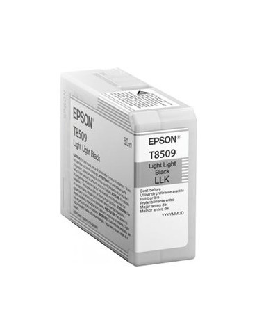 Epson Singlepack Light...