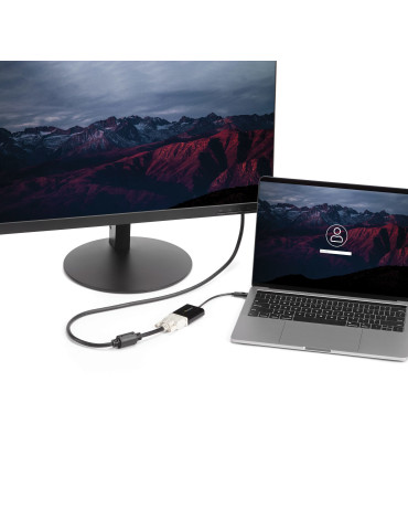 StarTech.com CDP2DVI USB grafiikka-adapteri 1920 x 1200 pikseliä Musta