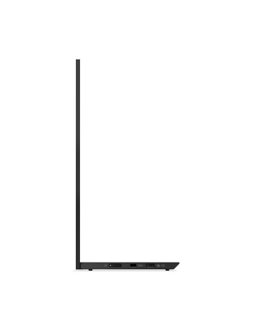 Lenovo ThinkVision M14d computer monitor 14" 2240 x 1400 pixels 2.2K LED Black