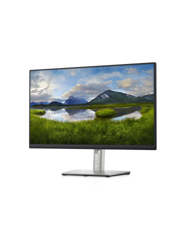 DELL P Series Bildskärmen 24 USB-C Hub – P2422HE