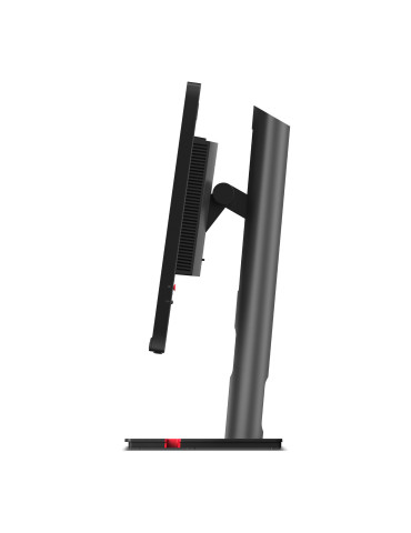 Lenovo ThinkVision P25i-30 platta pc-skärmar 62,2 cm (24.5") 1920 x 1080 pixlar Full HD LED Svart