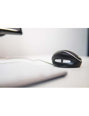 BakkerElkhuizen Oyster Mouse Wireless datormöss Kontor Ambidextrous RF Trådlös laser 1200 DPI