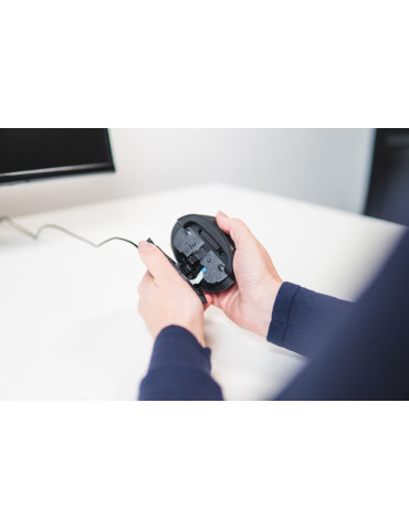 BakkerElkhuizen Oyster Mouse Wireless datormöss Kontor Ambidextrous RF Trådlös laser 1200 DPI