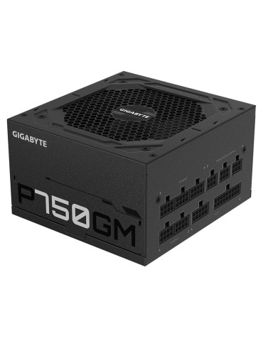 GIGABYTE P750GM power supply unit 750 W 20+4 pin ATX ATX Black