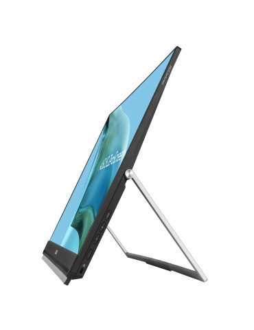 ASUS ZenScreen MB249C computer monitor 23.8" 1920 x 1080 pixels Full HD LED Black