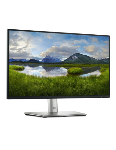 DELL P Series P2225H computer monitor 21.5" 1920 x 1080 pixels Full HD LCD Black, Silver