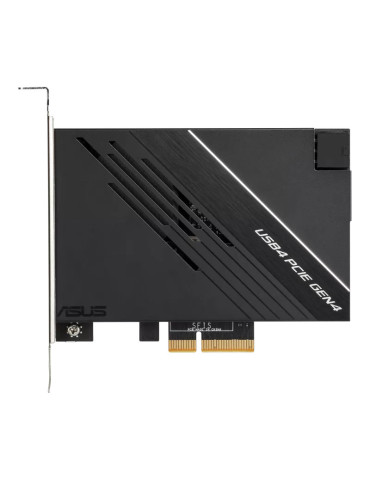 ASUS USB4 PCIe Gen4 Card nätverkskort adapters Intern DisplayPort, USB Type-C