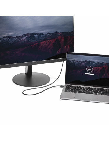StarTech.com 1,8 m USB-C till DisplayPort-kabel - 4K 60 Hz - Svart