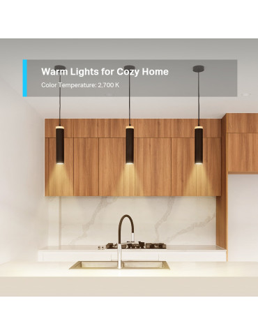 TP-Link Tapo L610 Smart glödlampa Wi-Fi 2,9 W