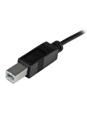 StarTech.com USB2CB2M USB cable USB 2.0 78.7" (2 m) USB C USB B 0.48 Gbit s Black