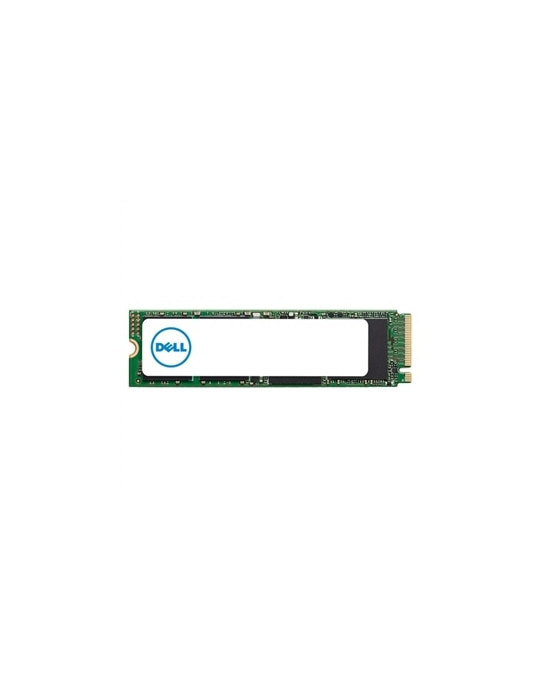 DELL AB292884 SSD-hårddisk 1 TB M.2 PCI Express NVMe