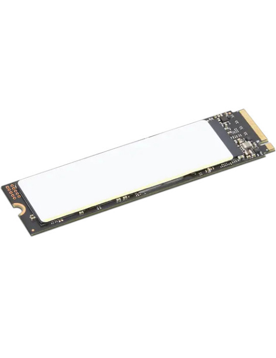 Lenovo 4XB1N36075 SSD-hårddisk 1 TB M.2 PCI Express 4.0 NVMe