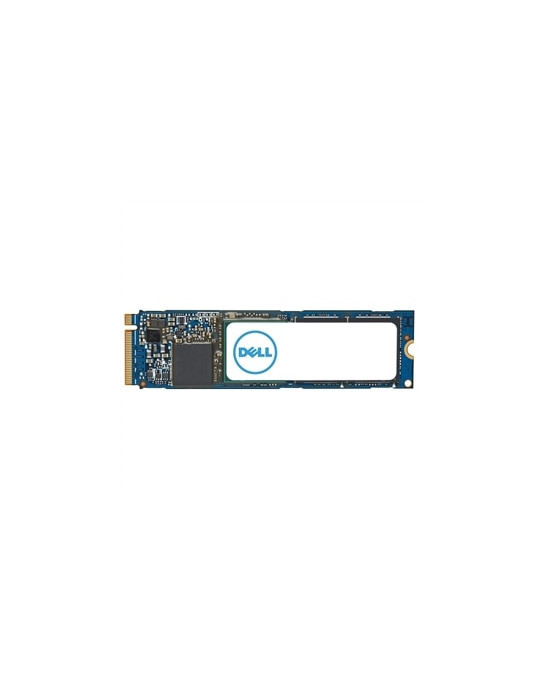 DELL AC037409 SSD-hårddisk 1 TB M.2 PCI Express 4.0 NVMe