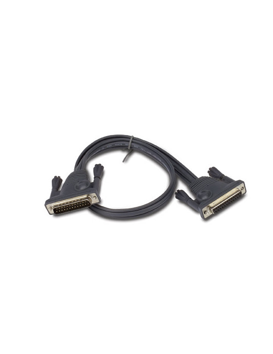 APC KVM Daisy-Chain Cable - 2 ft (0.6 m) KVM-kablar Svart 0,61 m