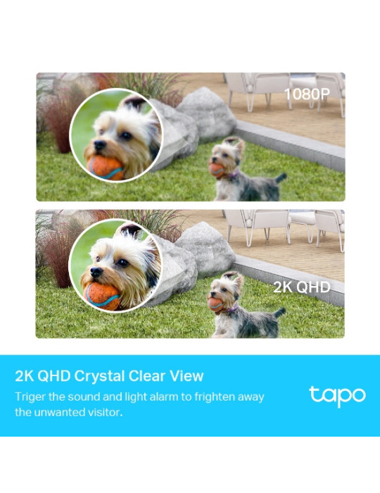 TP-Link Tapo C420S2 Bulb IP security camera Indoor & outdoor 2560 x 1440 pixels Wall