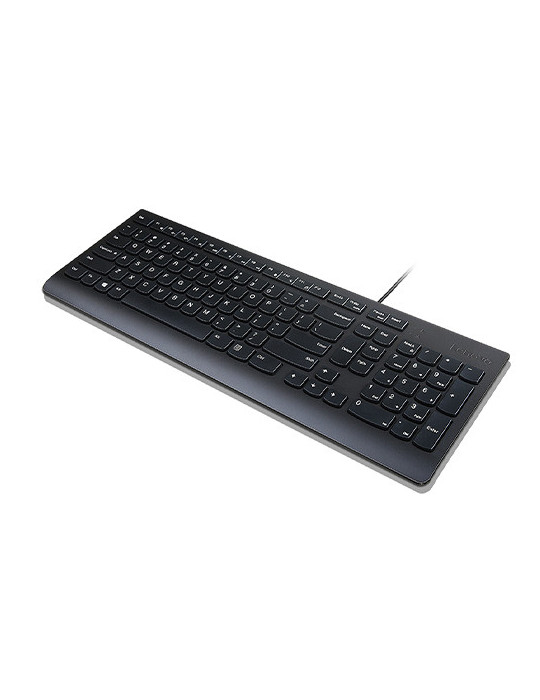 Lenovo Essential tangentbord Universal USB QWERTY Finsk, Svensk Svart