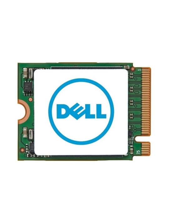 DELL AD061580 SSD-hårddisk 1 TB M.2 PCI Express 4.0 NVMe