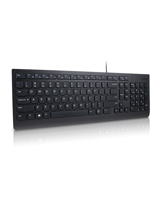 Lenovo Essential tangentbord Universal USB QWERTY Finsk, Svensk Svart