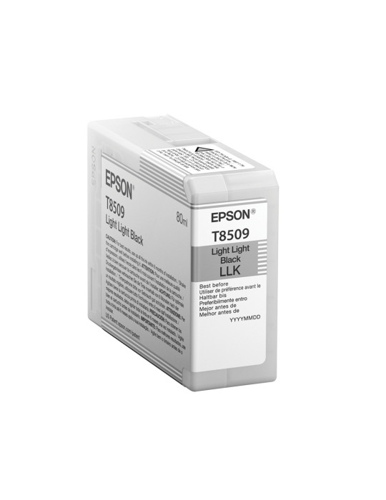 Epson Singlepack Light Light Black T850900